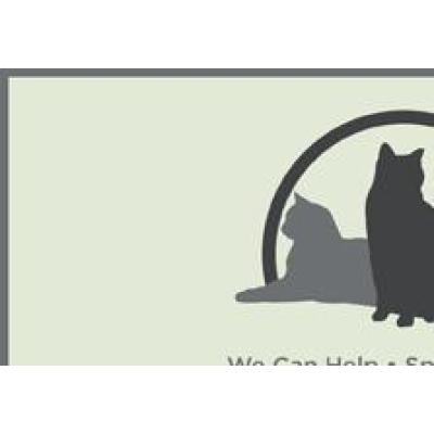 COLONY CATS