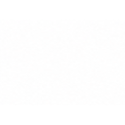 JANASEVA FOUNDATION USA